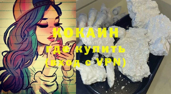 крисы Ельня