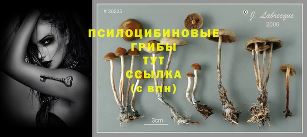 скорость Арсеньев