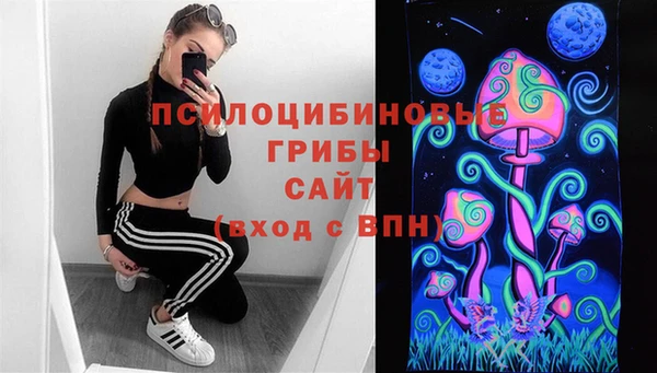 ALPHA PVP Елизово